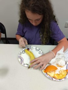 Cover photo for Bunnies, Bovines, & Birds 4-H Club Learning About Animal Injections