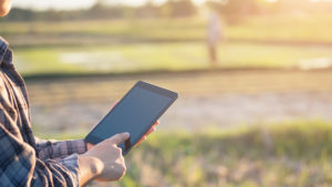 A farmer using a tablet while standing in a farm field